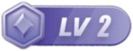 LV2 等级-LV2-正贤网络科技