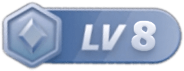 等级-LV8-正贤网络科技