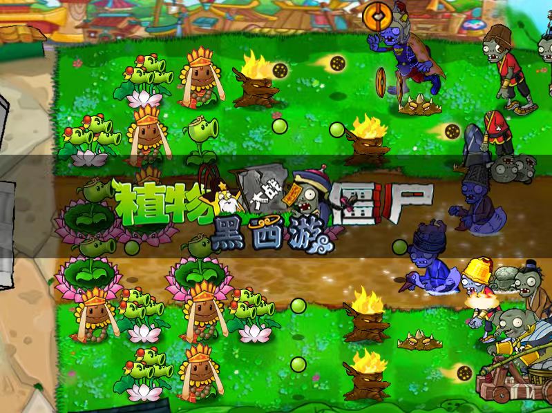 【植物大战僵尸西游版】_-电脑软件论坛-正贤网络科技