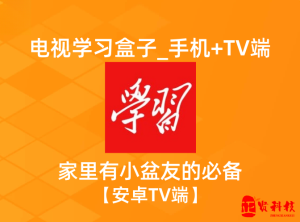 电视学习盒子_v1.0_ 家里有小盆友的必备！_ 【TV端+手机端】-正贤网络科技