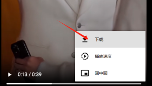 最好用的免费小红书视频下载工具 （无需安装，无水印）-正贤网络科技